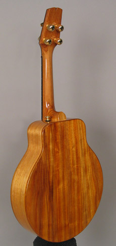 This photo shows the canary wood back and side of Mandonator 12