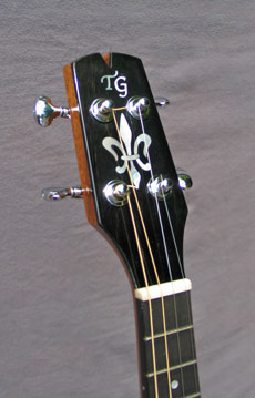 Headstsock with inlay of Mandonator 6