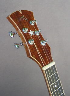 Headstock of Mandonator 7