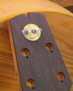 Photo of the inlay on the headstock of Mandonator 12