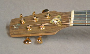 Headstock of Mandonator 8 in the white