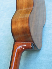 Side view of body and neck of Uke number 2