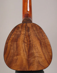 Photo of the back of ukulele 3