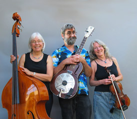 Photo of the Twisted Trio band